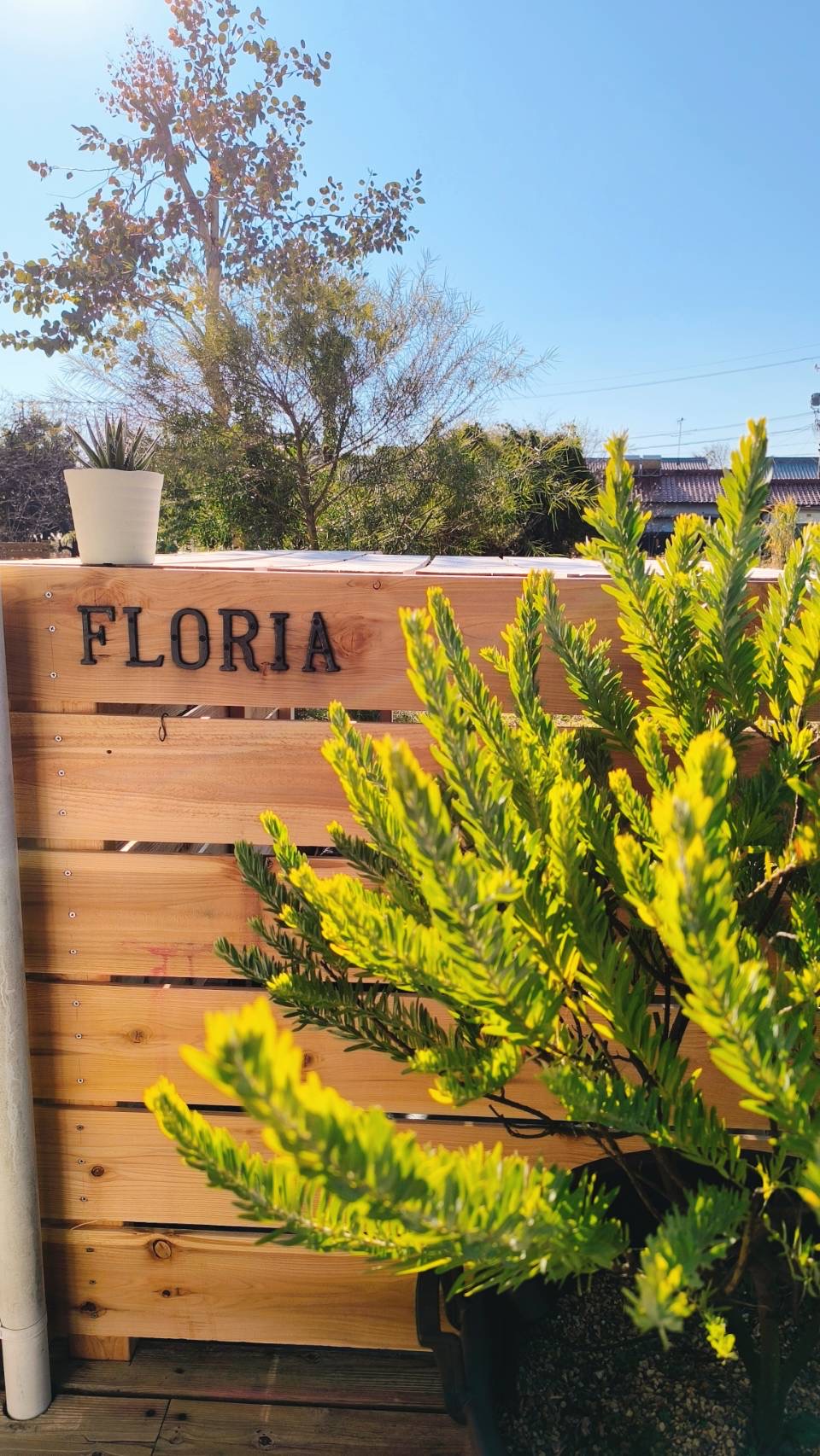 Yoga&Beauty Floriaの木製看板と植物