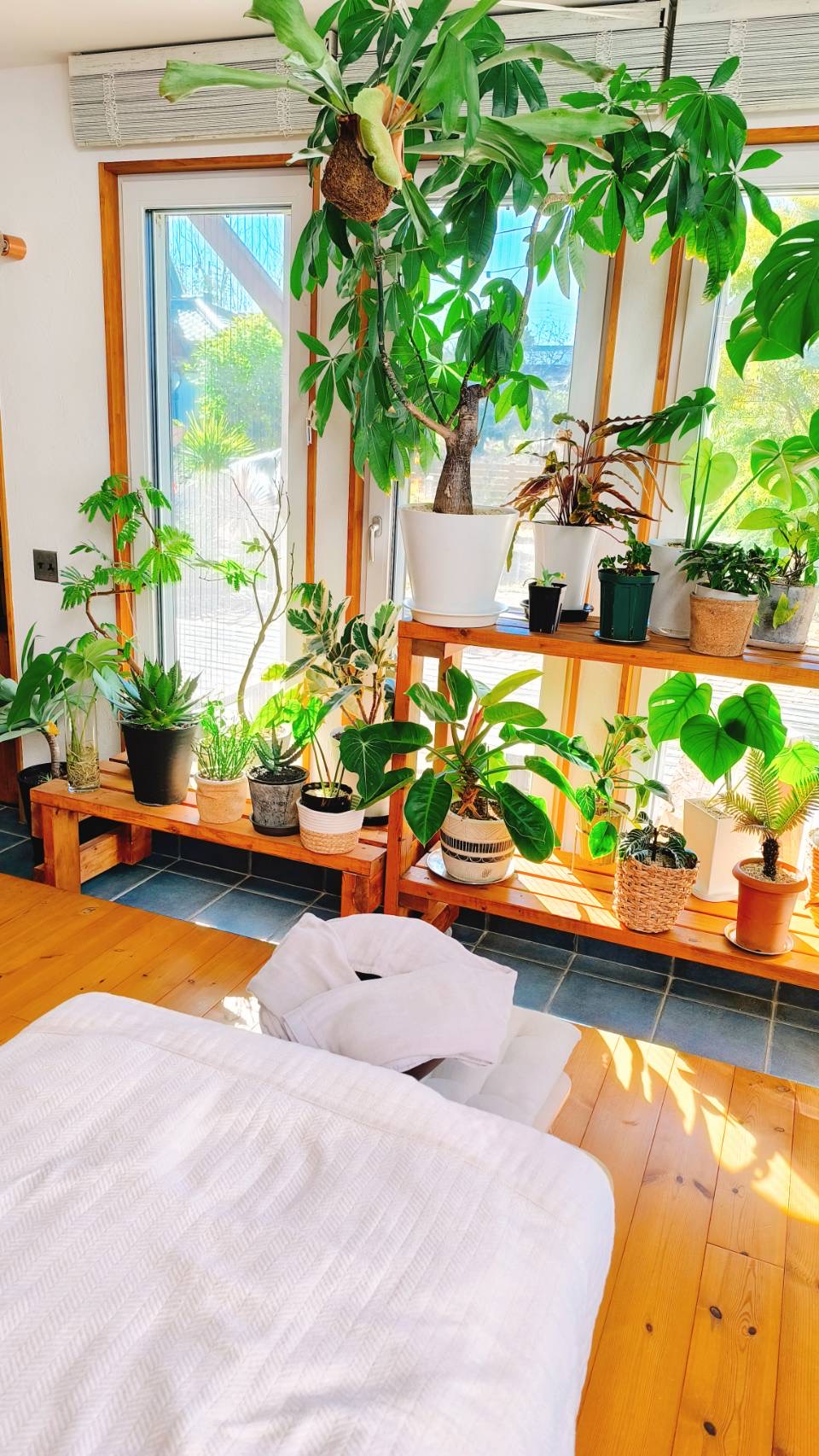 植物と自然光に包まれた施術ベッド